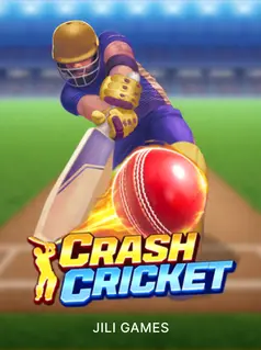 Crash Cricket game