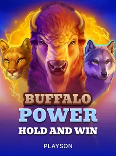 Buffalo Power: Hold and Win game